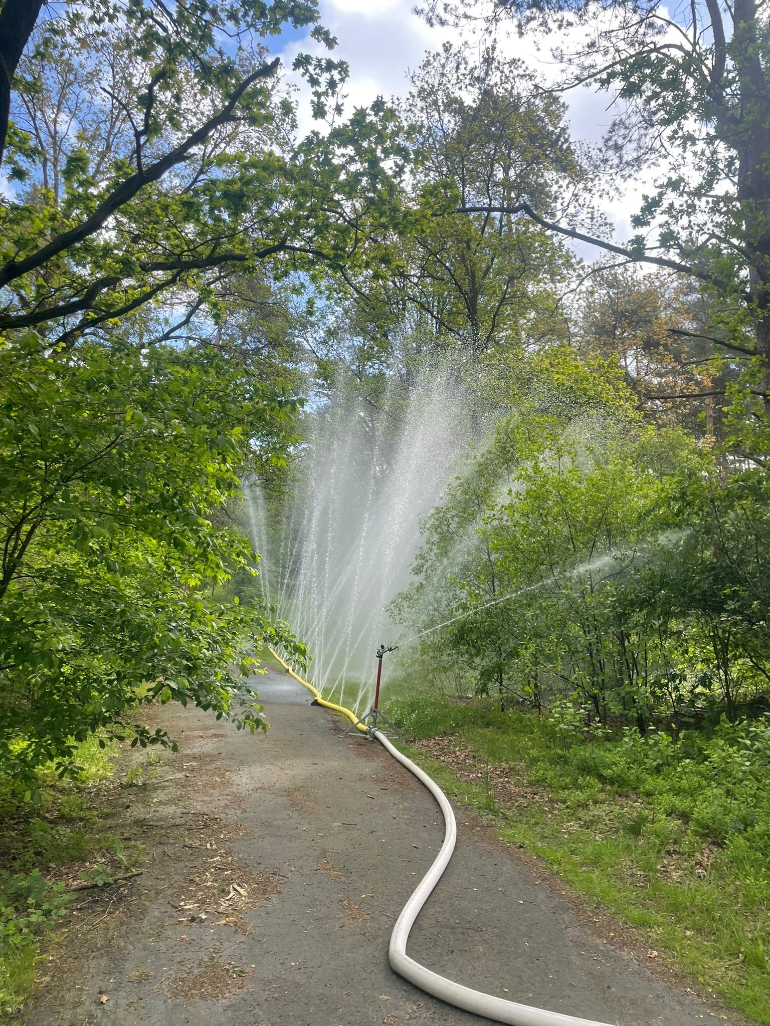 Brand Forsten 3