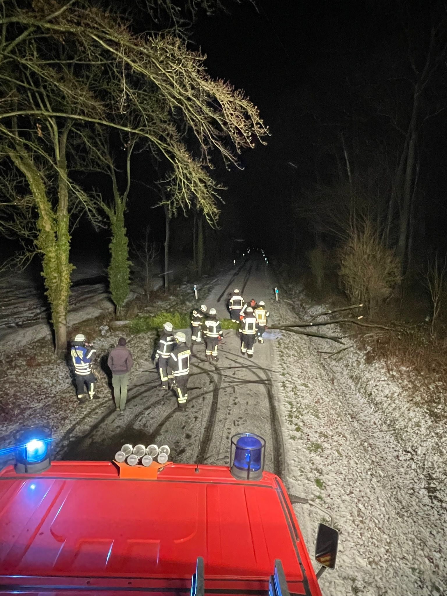 Baum auf Straße - Bild 1
