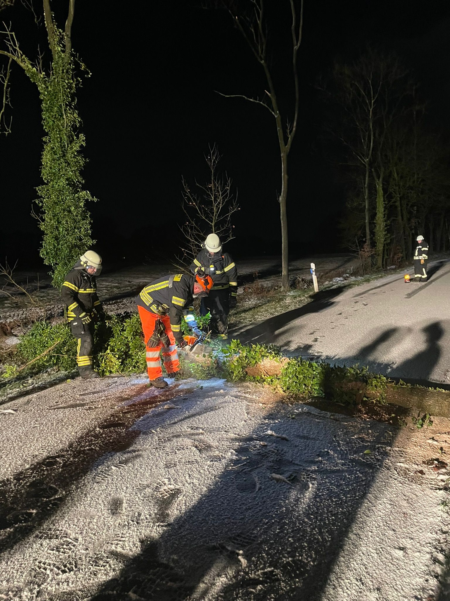 Baum auf Straße - Bild 2