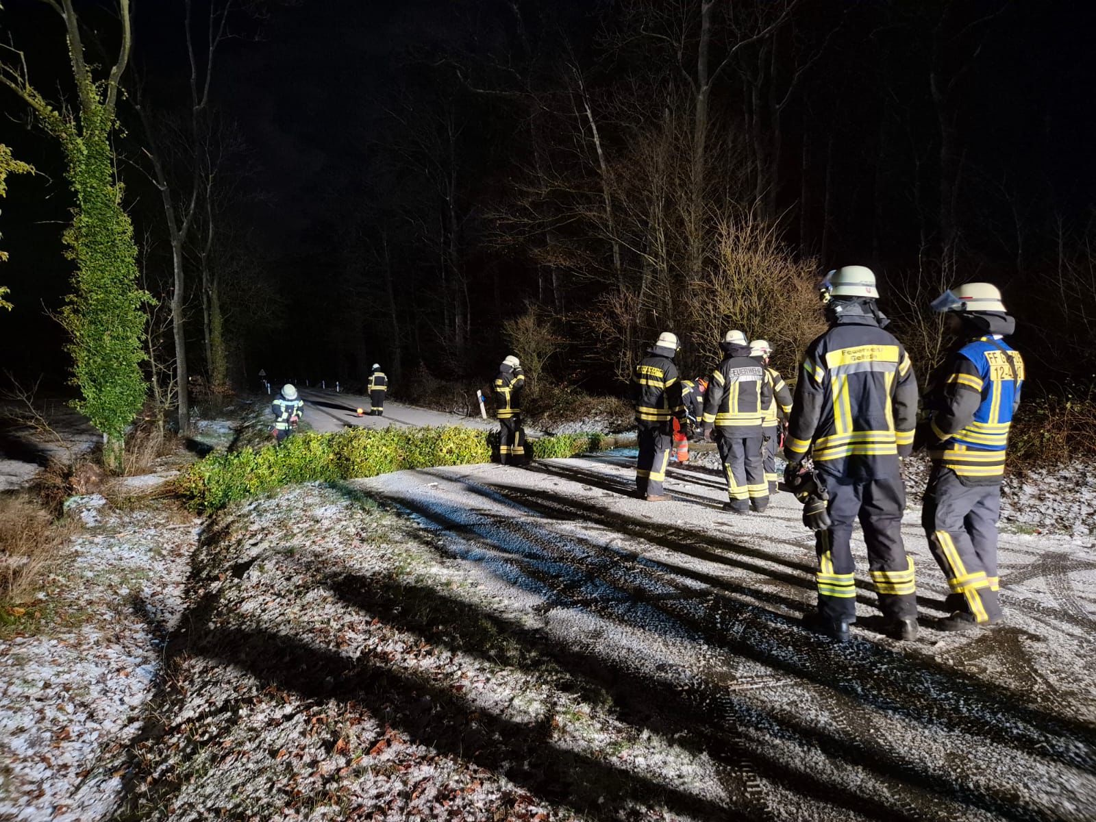 Baum auf Straße - Bild 4